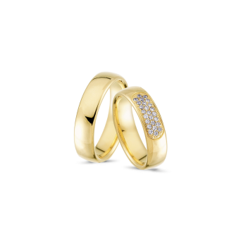 Nuran 14kt vielsesringe (A4061YG) - 