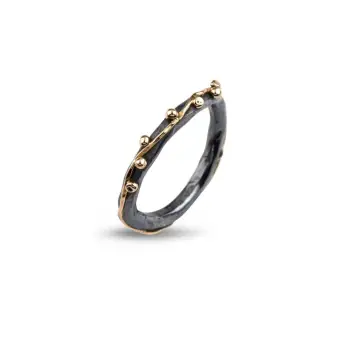 Birdie Zeus Plain sølv ring med 14 kt guld - Ringe