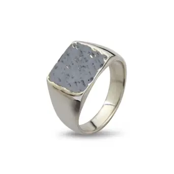 Birdie Cushion Hammered sølv herre signet ring - Ringe