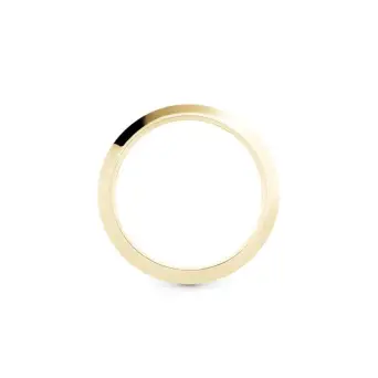 Christina Collect Topkrans Basic forgyldt stål - Ure og elementer