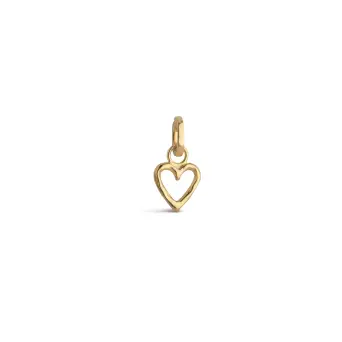 Enamel Organic Heart sølvforgyldt charm - Charms